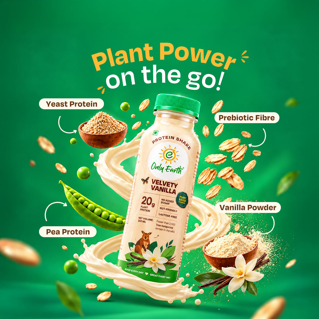 20g Plant Protein Shake-Vanilla (P4)