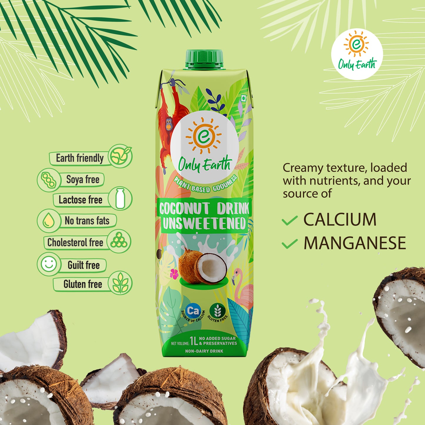 Only Earth Coconut Milk Beverage – Plant-Based, Dairy-Free, No Added Sugar, Low Calorie & Fortified with Calcium & Vitamins