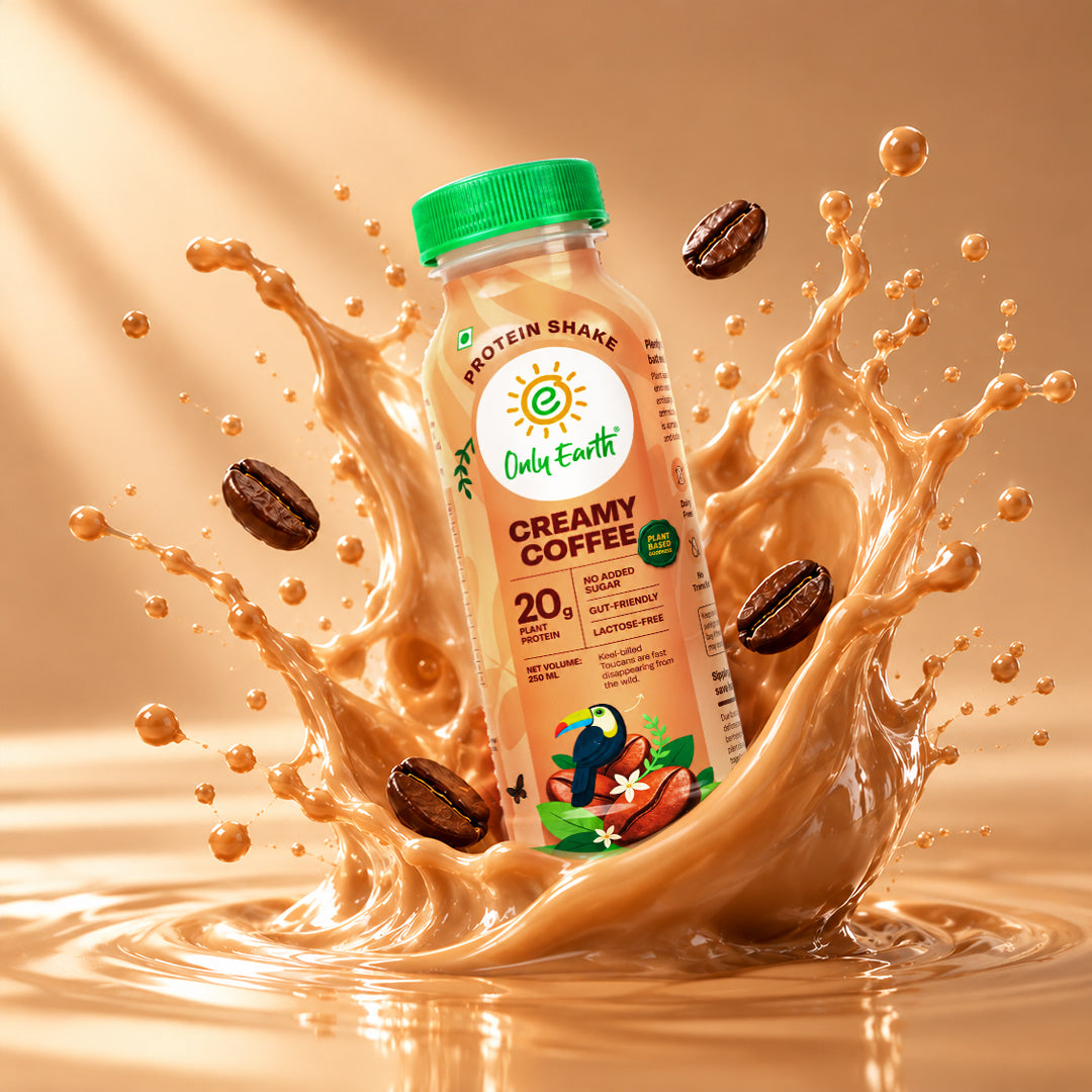 20g Plant Protein Shake-Coffee (P4)